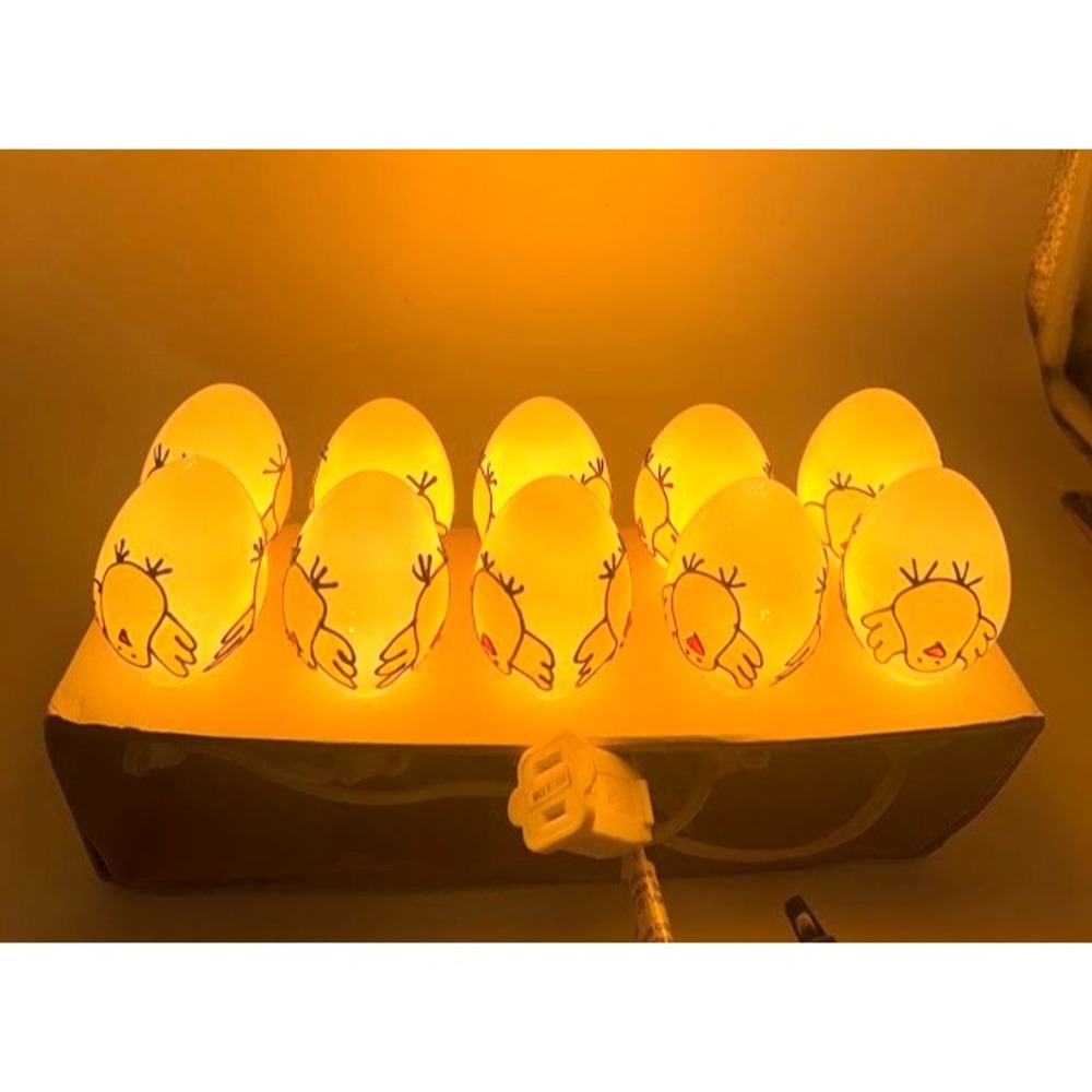 Vintage Chicken Egg String Lights 10 Ct Easter Chick Spring Decor Tested Works